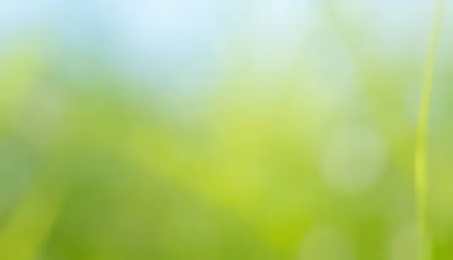 诊疗规范下门诊服务两种做法对比及取舍分析